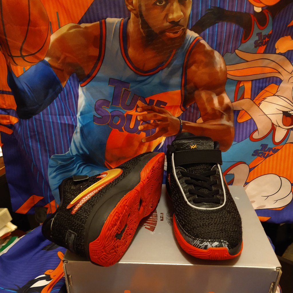 Lebron Xx